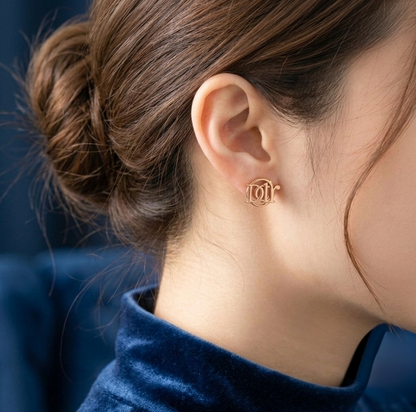 Women's Beautiful Design Earrings S3367785